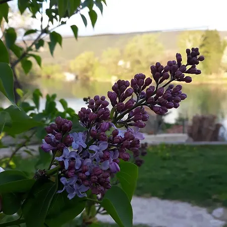 Vila Heba Villa Bihać