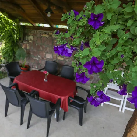 Villa Vila Heba *
